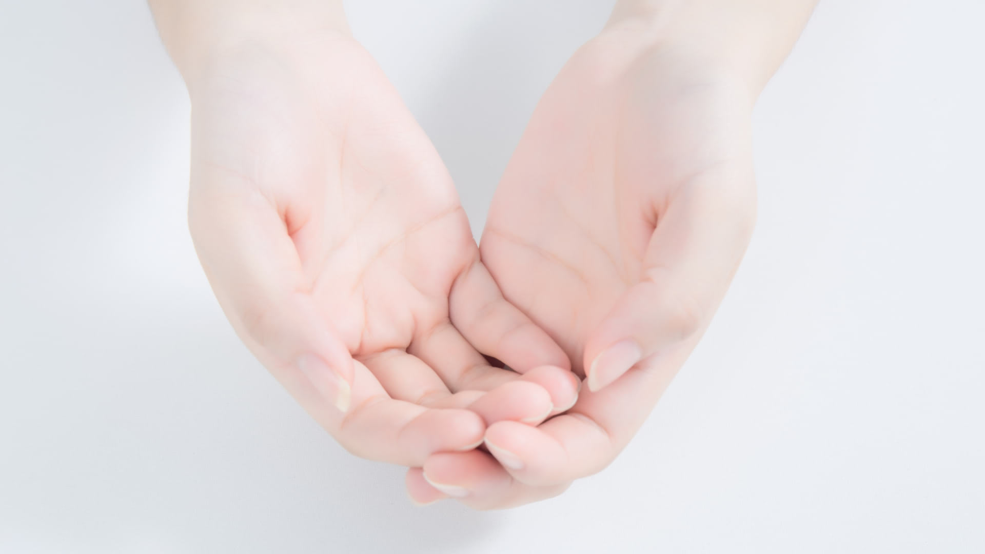 配型与抗体检测